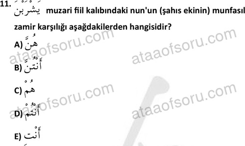ata islamiilimler 1759 11