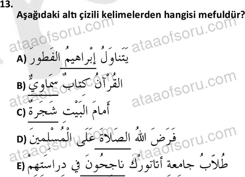 ata islamiilimler 1759 13