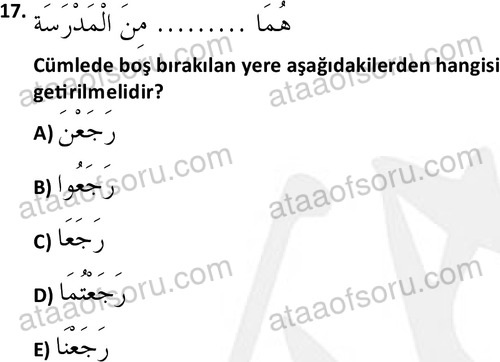 ata islamiilimler 1759 17