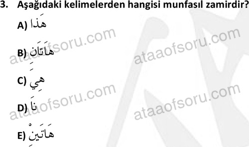 ata islamiilimler 1759 3
