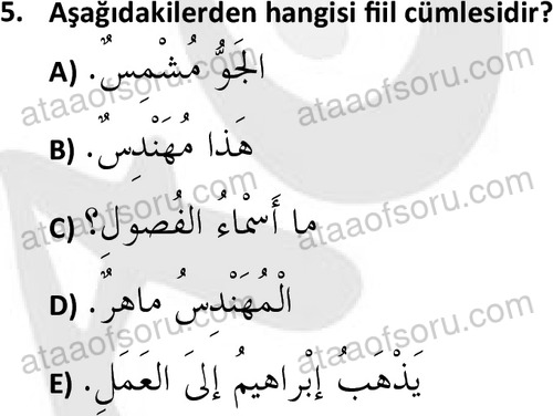 ata islamiilimler 1759 5