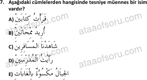 ata islamiilimler 1759 7