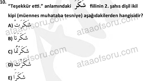 ata islamiilimler 1759 10