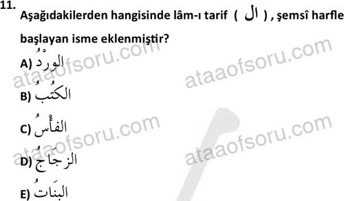 ata islamiilimler 1759 11