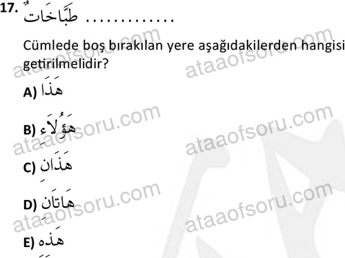 ata islamiilimler 1759 17