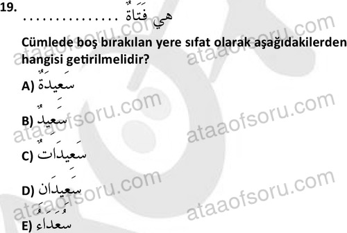 ata islamiilimler 1759 19