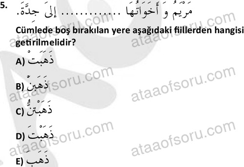 ata islamiilimler 1759 5