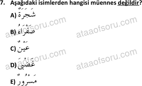 ata islamiilimler 1759 7