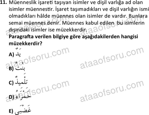 ata islamiilimler 1759 11