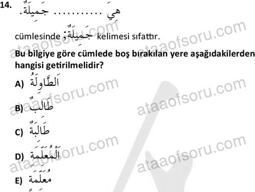 ata islamiilimler 1759 14