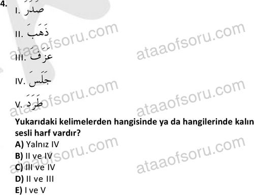 ata islamiilimler 1759 4
