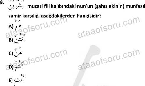 ata islamiilimler 1759 8