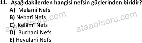 ata islamiilimler 1761 11