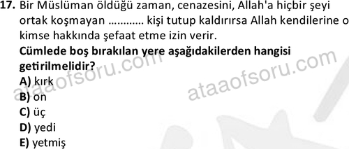 ata islamiilimler 1762 17