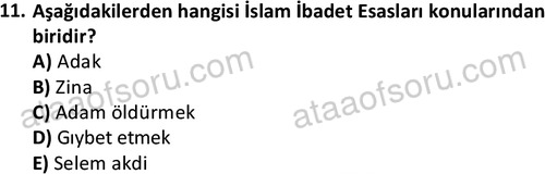 ata islamiilimler 1762 11