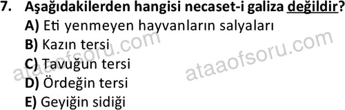 ata islamiilimler 1762 7