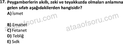 ata islamiilimler 1763 17