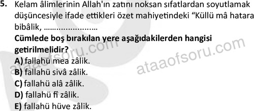 ata islamiilimler 1763 5