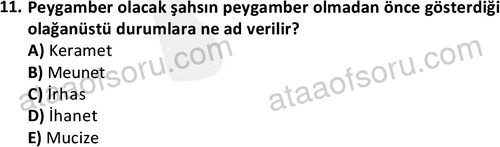 ata islamiilimler 1763 11