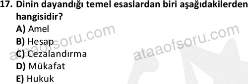 ata islamiilimler 1763 17