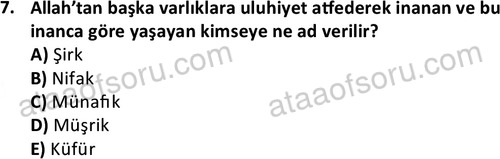 ata islamiilimler 1763 7