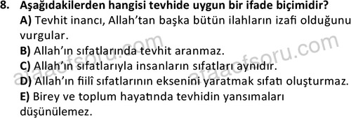 ata islamiilimler 1763 8