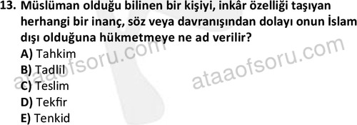 ata islamiilimler 1763 13