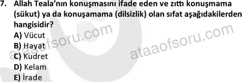 ata islamiilimler 1763 7