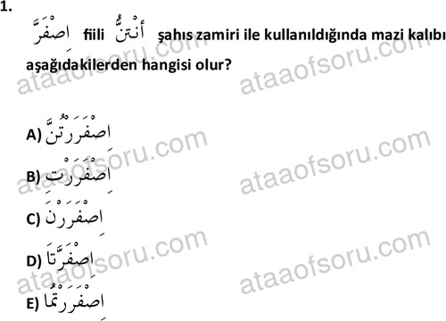 ata islamiilimler 1772 1