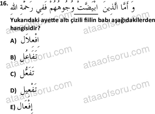 ata islamiilimler 1772 16