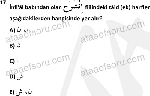 ata islamiilimler 1772 17