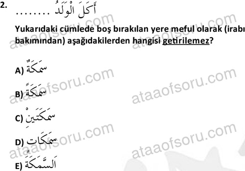 ata islamiilimler 1772 2