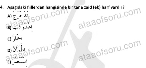 ata islamiilimler 1772 4