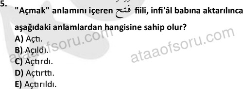 ata islamiilimler 1772 5