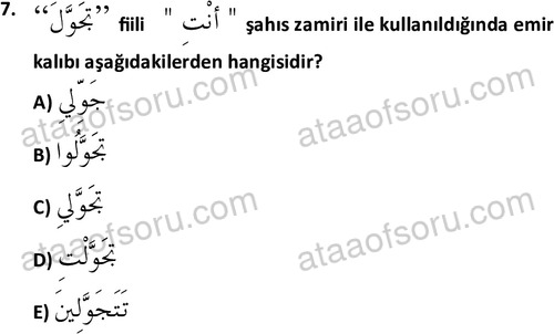 ata islamiilimler 1772 7