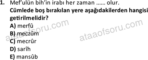 ata islamiilimler 1772 1