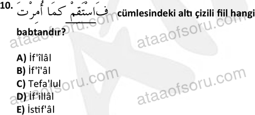 ata islamiilimler 1772 10