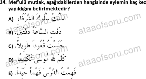 ata islamiilimler 1772 14