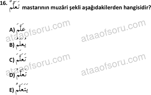 ata islamiilimler 1772 16