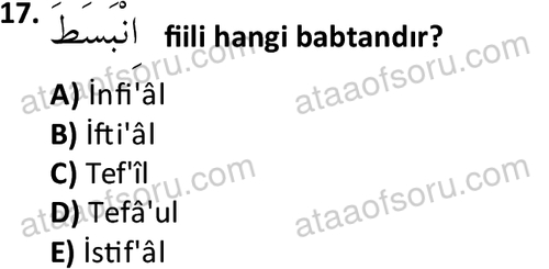 ata islamiilimler 1772 17