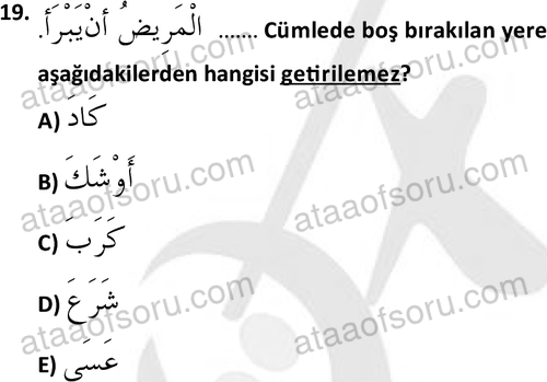 ata islamiilimler 1772 19