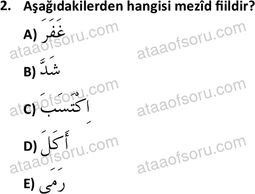 ata islamiilimler 1772 2