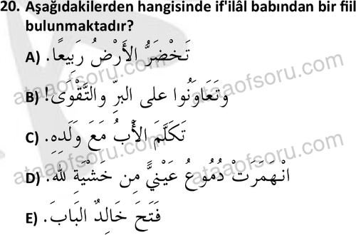 ata islamiilimler 1772 20