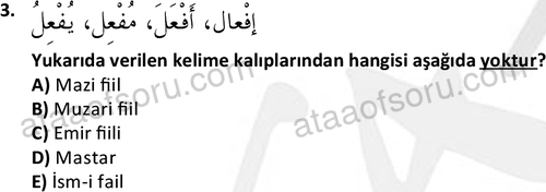 ata islamiilimler 1772 3