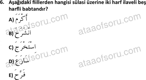 ata islamiilimler 1772 6