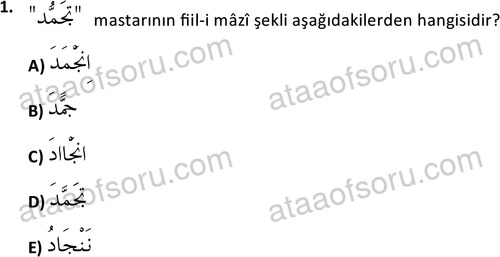 ata islamiilimler 1772 1