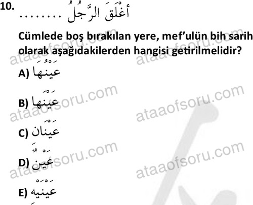 ata islamiilimler 1772 10