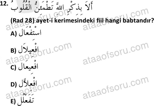 ata islamiilimler 1772 12