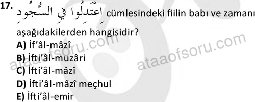 ata islamiilimler 1772 17