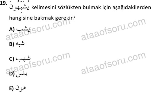 ata islamiilimler 1772 19